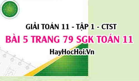 Giải bài 5 trang 79 Toán 11 tập 1 SGK Chân trời sáng tạo